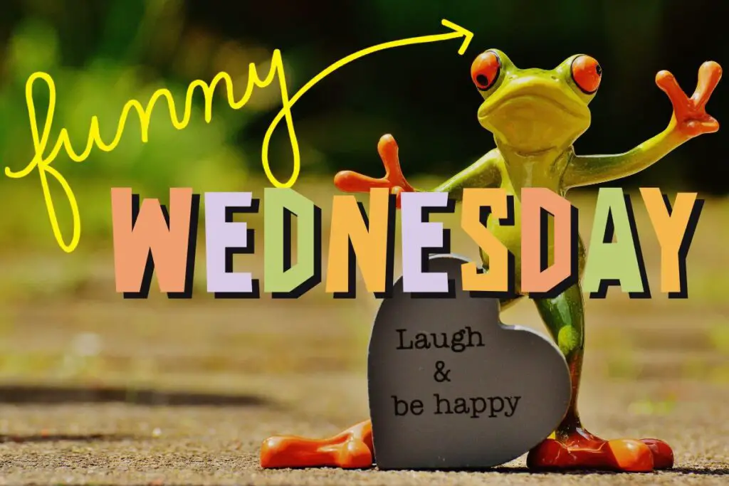 75 Funny Wednesday Quotes For A Great Midweek Vibe Transitions And Beginnings